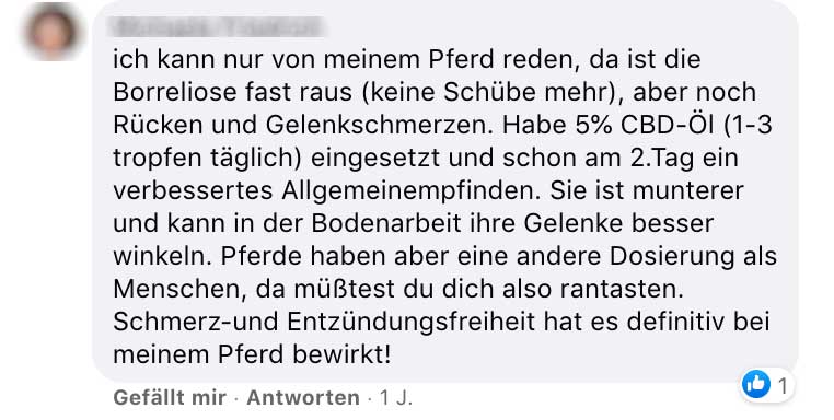 Erfahrungsbericht CBD bei Borreliose