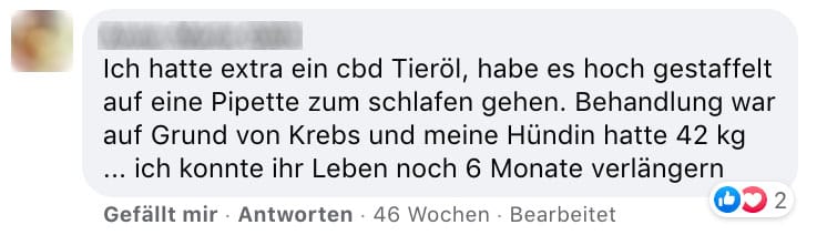 Erfahrungsberichte CBD Hunde