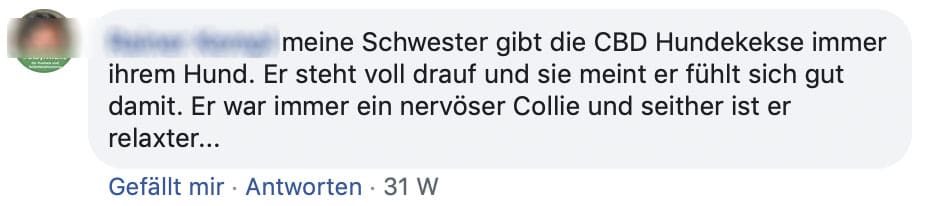 Erfahrungsberichte CBD Hunde
