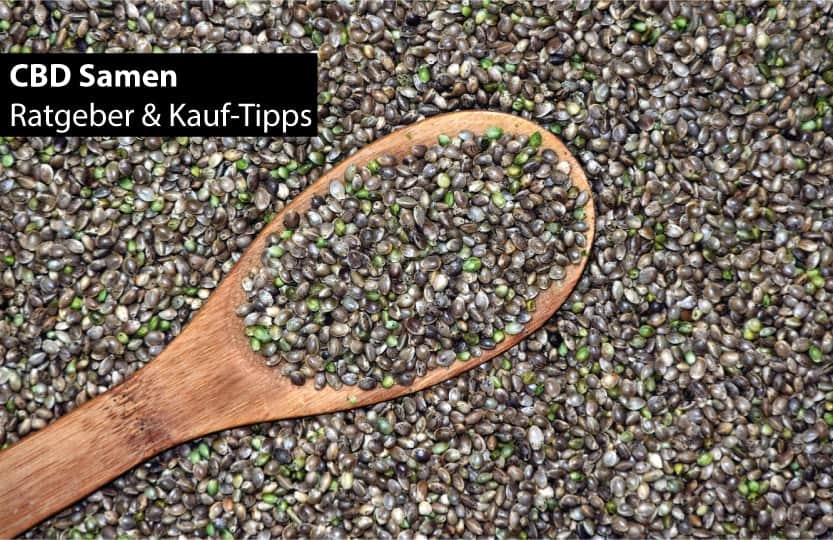 CBD-Samen
