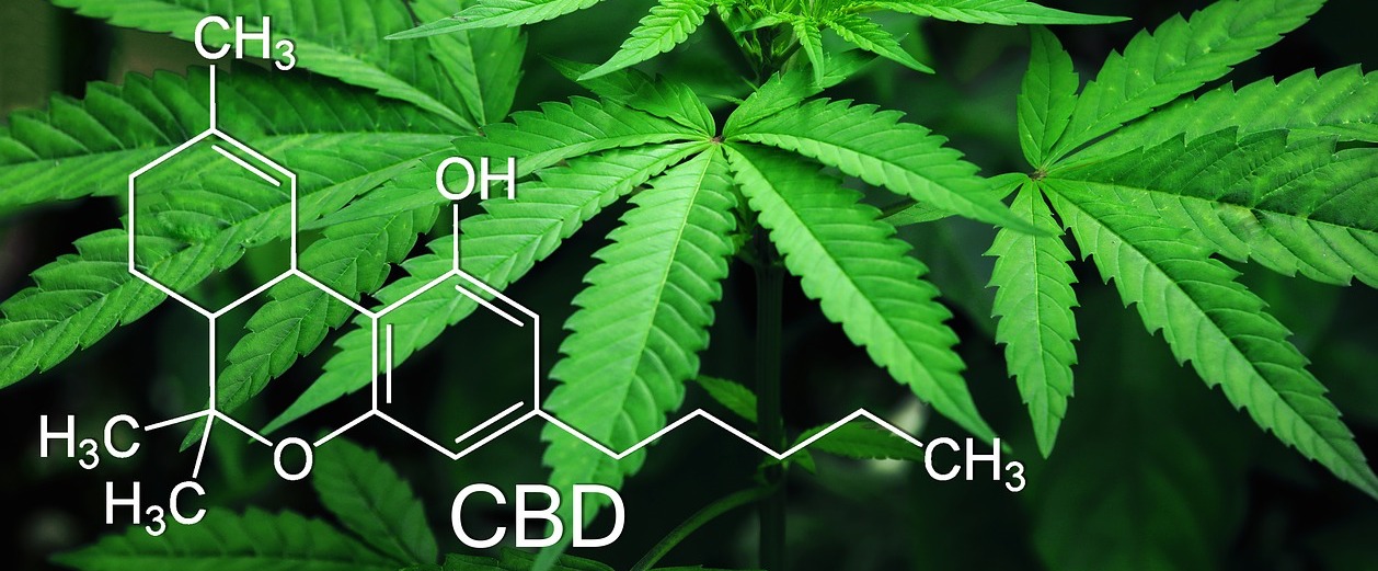 CBD Shot Erfahrungen