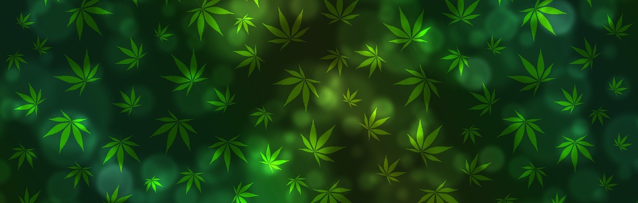 CBD kann diese schlimme Krankheit heilen