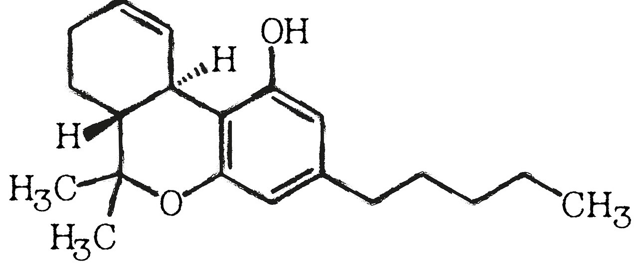 Cannabidiol ein wirksames Mittel gegen Erreger und Entzündungen