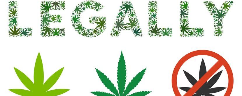 Der aktuelle Wissensstand zur Legalisierung von Cannabis Produkten.