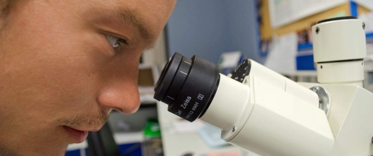 Forscher beim Untersuchen von CBD