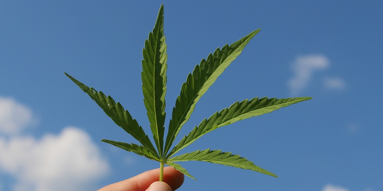 Kann CBD beim Sport helfen