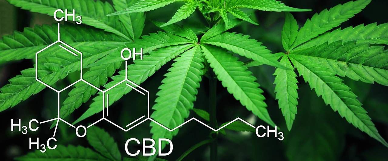 Kann CBD gegen Tinnitus helfen