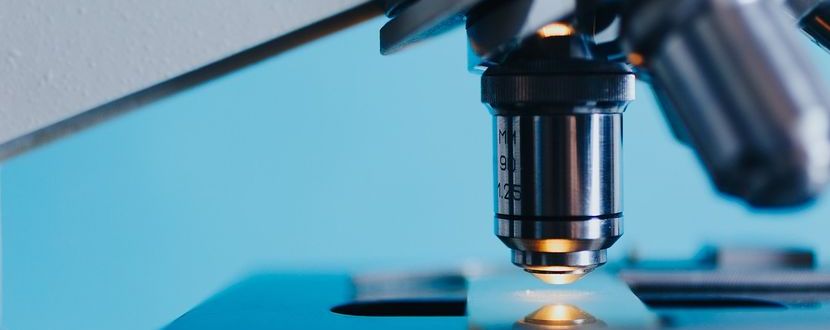 Was die Wissenschaft zu Cannabidiol bei Autismus sagt