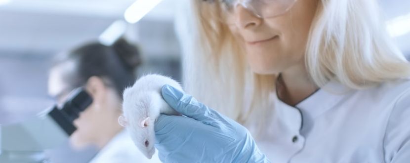 Eine Studie zu CBD bei Knochenbruch.