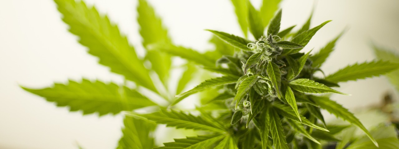 Was tun bei Fibromyalgie