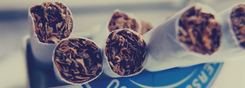 Zogaretten mit CBD-Gehalt fotografiert.