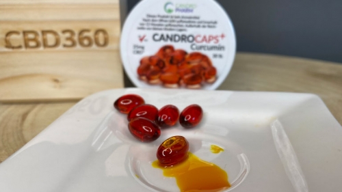 Candropharm CBd Kapseln mit Kurkuma Fabre