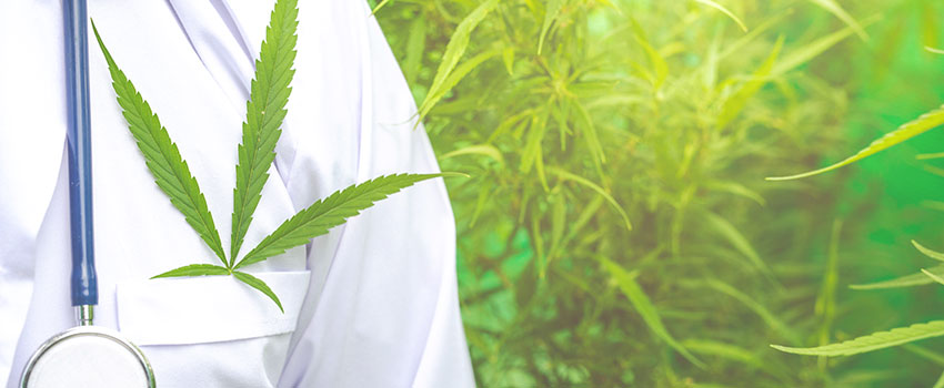 Cannabis Immunsystem