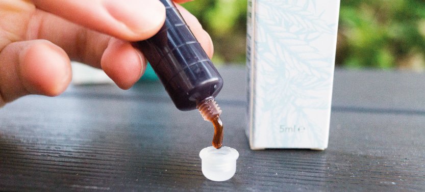 NordicOil CBD Paste in unserer Test und Kaufberatung.