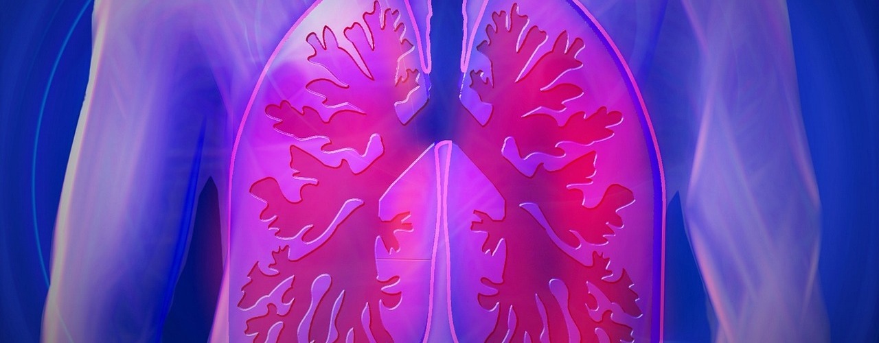 cbd autoimmun erkrankungen