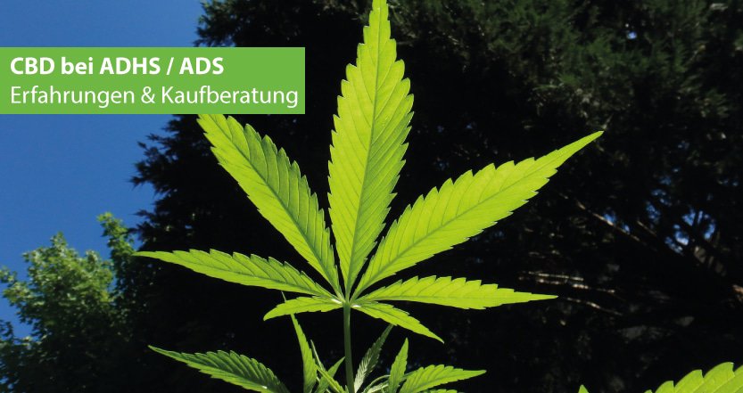 CBD bei ADHS Kaufberatung 