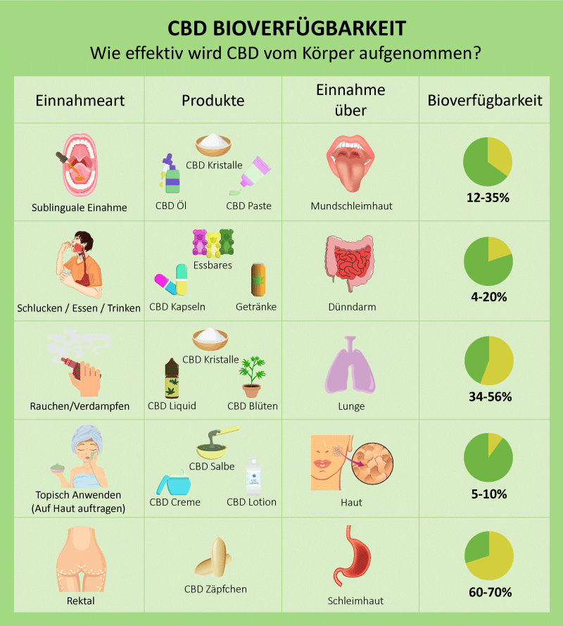 CBD Bioverfügbarkeit CBD Bioverfügbarkeit