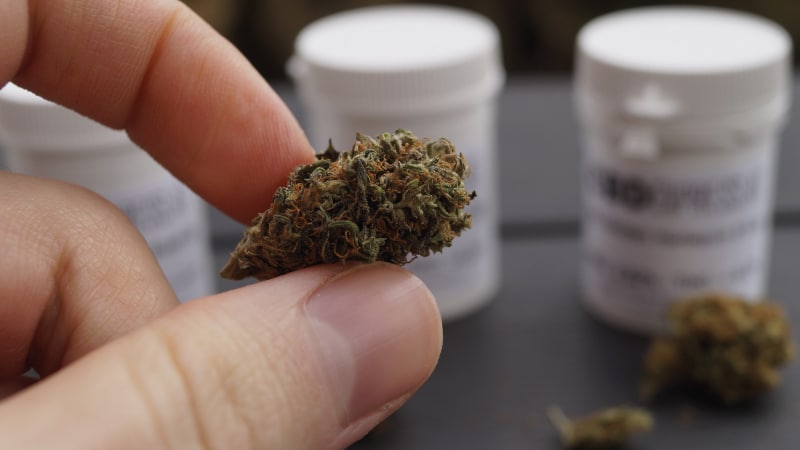 CBD Blüten Erfahrungen: Gras fotografiert