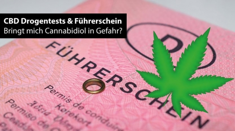 CBD, Führerschein und Drogentest