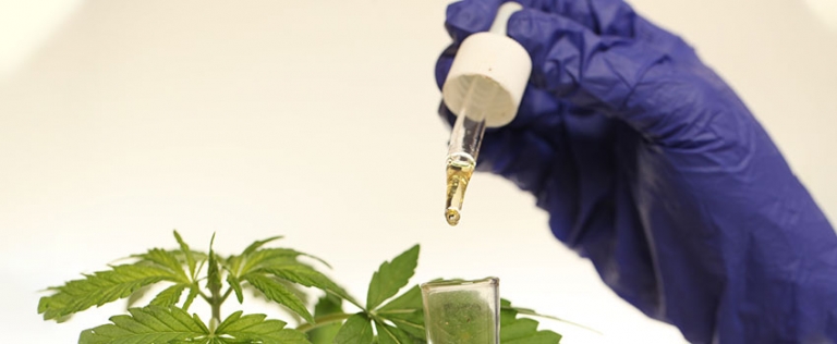 CBD Liquid selber machen