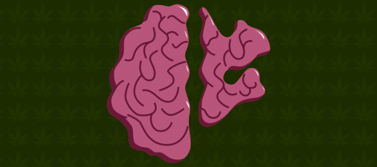 CBD bei Neurodegeneration