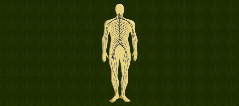 CBD bei Neuropathie