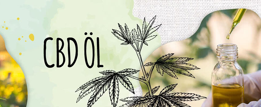 CBD Öl Rossmann Test