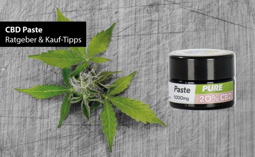 CBD Paste Ratgeber & Kauf-Tipps