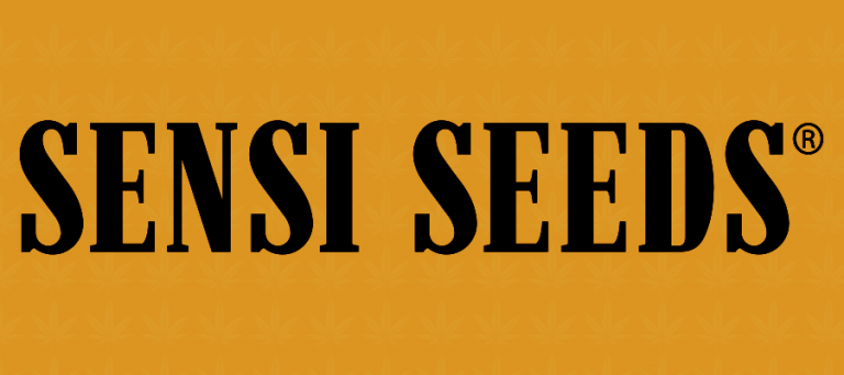 CBD Sensi Seeds Erfahrungen
