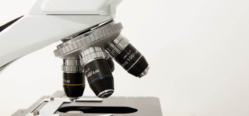 CBD Studien werden mit dem Mikroskop durchgeführt.
