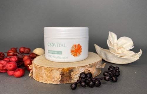 CBD Vital CBD Akutbalsam