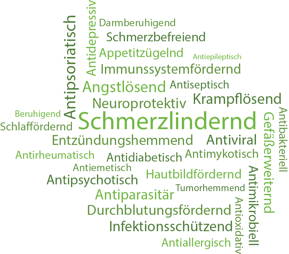 CBD Wirkungen Wordcloud CBD Wirkungen