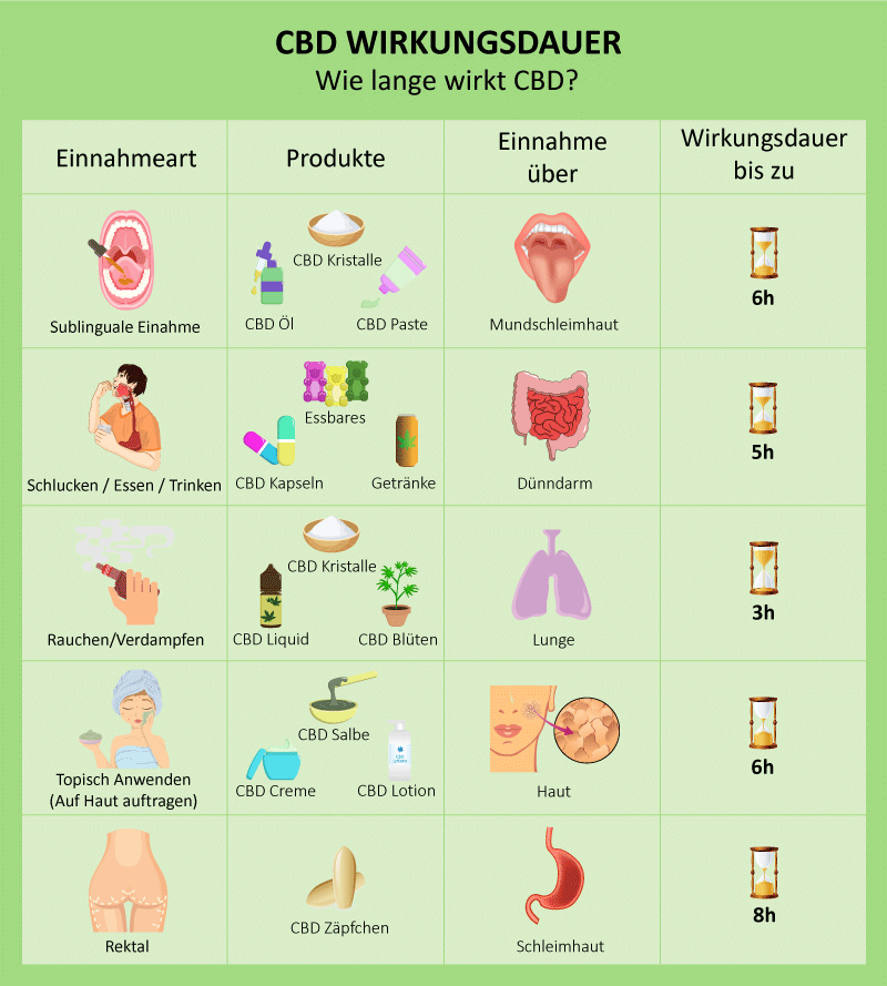 CBD WIrkungsdauer - Wie lange wirkt CBD? CBD WIrkungsdauer - Wie lange wirkt CBD?