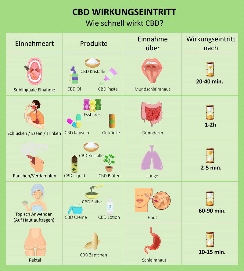 CBD Wirkungseintritt - Wie schnell wirkt CBD? CBD Wirkungseintritt - Wie schnell wirkt CBD?