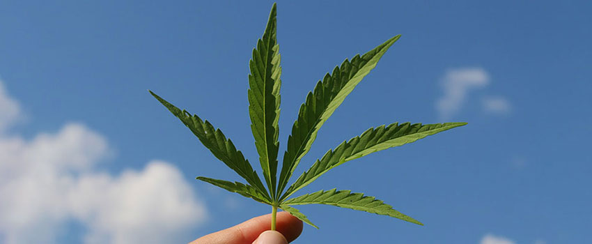 Die besten Hersteller