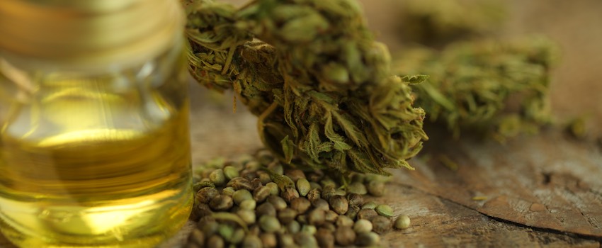 Erfahrungsberichte CBD