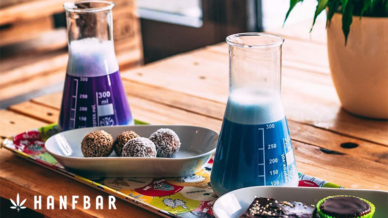 Hanfbar Erfahrungen & Test