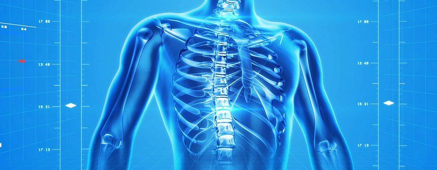 Cannabisöl bei Osteoporose