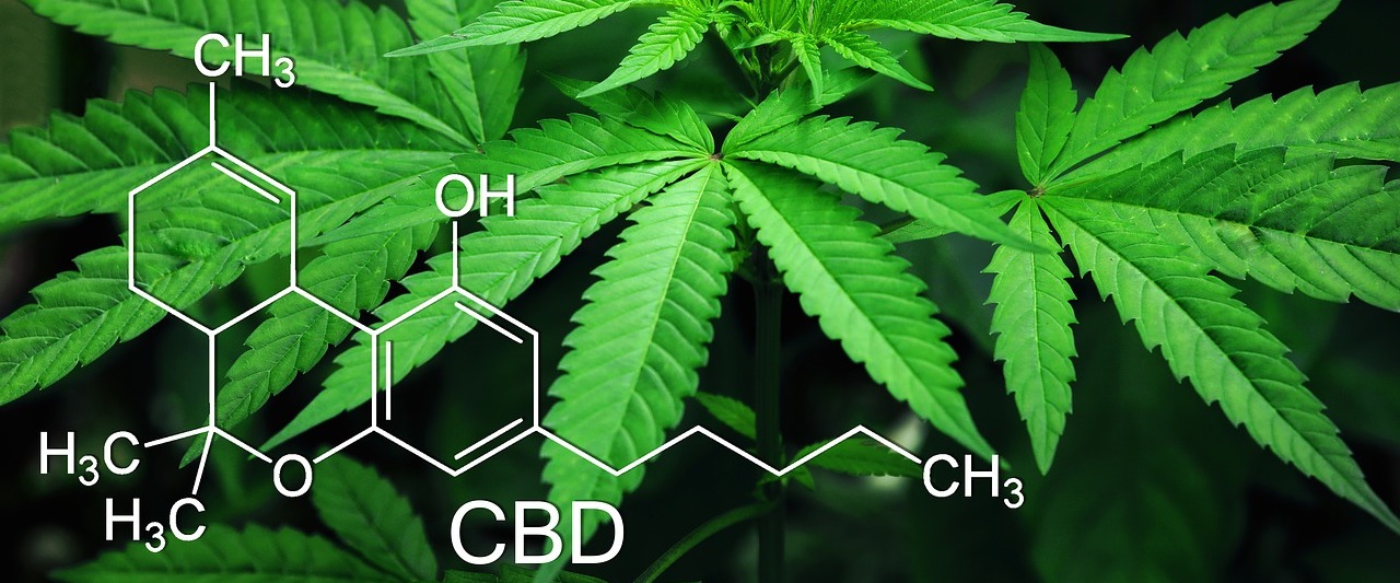 Kann CBD bei Sichelzellenanämie helfen