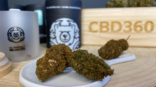 Lucky Hemp CBD Blüten Orange