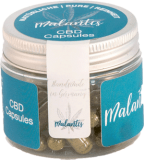 Malantis CBD Kapseln