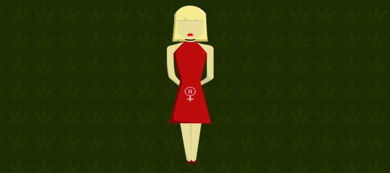 Illustration zu CBD bei Menopause