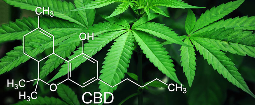 Nebenwirkungen bei Cannabisöl