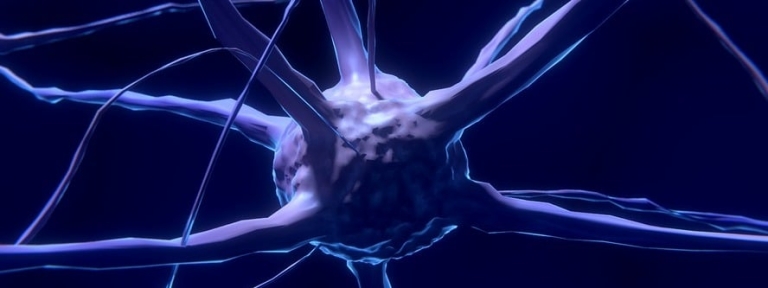 cbd unterstütz Cannabinoid