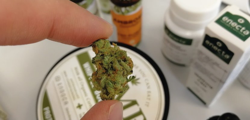 thankyoujane.de shopvorstellung