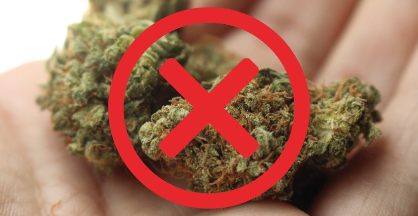 THC & Cannabis Entzug: Weed Foto