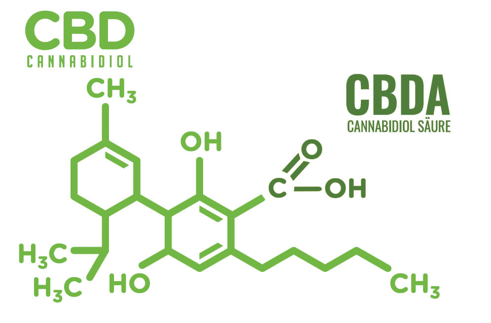 Unterschied CBD vs CBDA Unterschied CBD vs CBDA