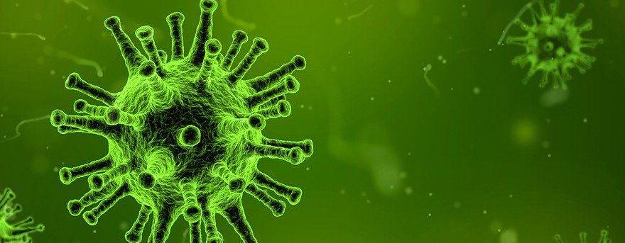 Wirkung von Cannabisöl bei Hepatitis