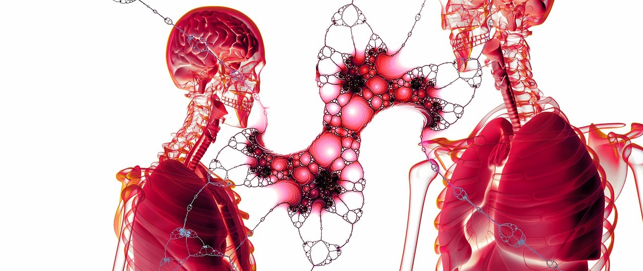 Wie können Cannabinoide zur Heilung des Zeizdarmsyndroms beitragen